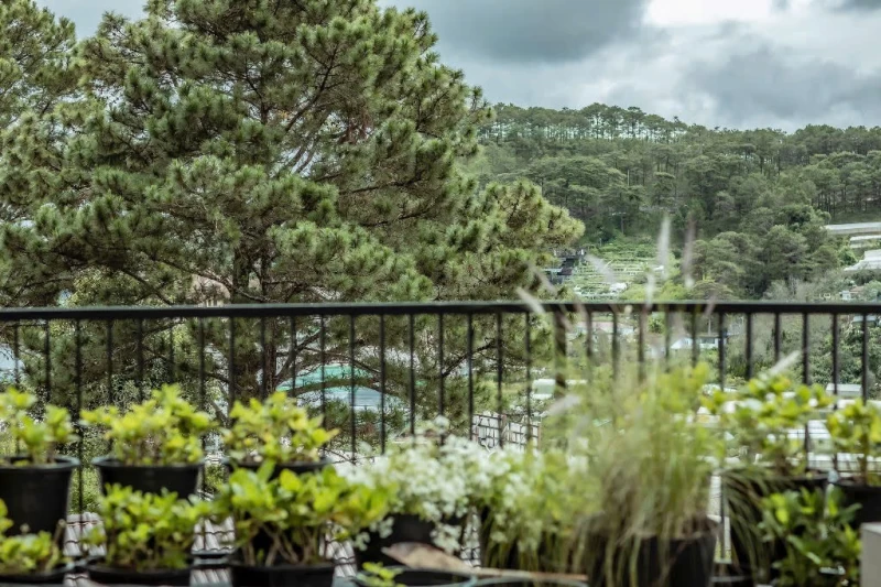 Biệt thự Montlblance - BTDL38 - Hình ảnh chi tiết 39