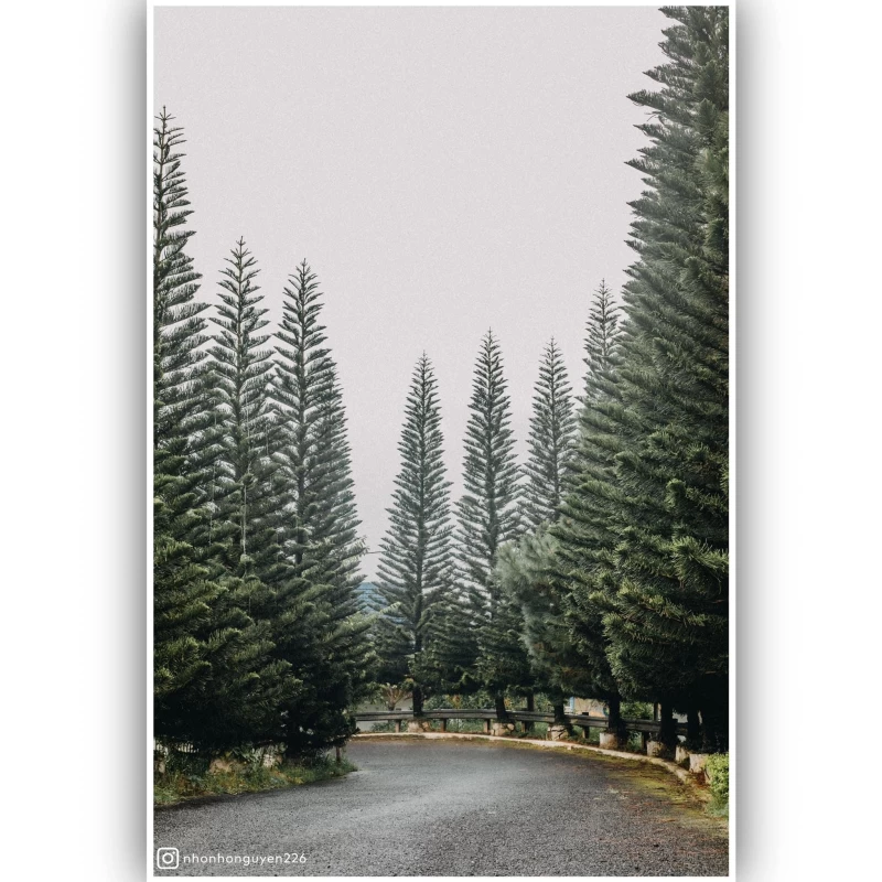 Biệt thự Sunny - BTDL36 - Hình ảnh chi tiết 9