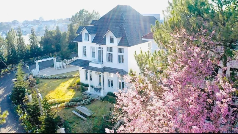 Biệt thự Sunny - BTDL36 - Hình ảnh chi tiết 61