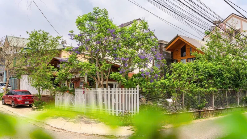 Home Là Hoa - BTDL35 - Đang tải ảnh thư viện 7