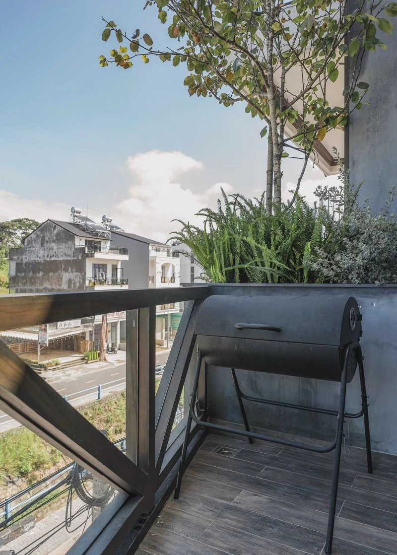 Nguyên căn Pinus - BTDL33 - Đang tải ảnh thư viện 7