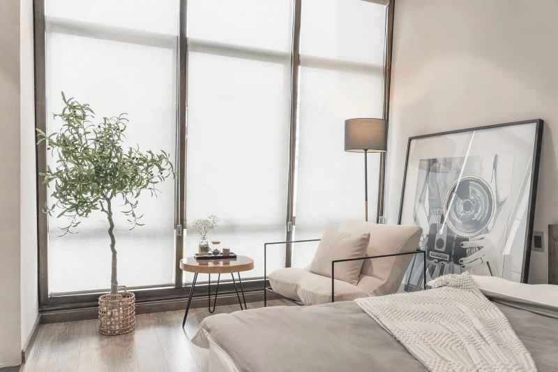 Nguyên căn Pinus - BTDL33 - Đang tải ảnh thư viện 31