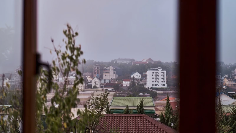 Nguyên căn Sếu - BTDL34 - Hình ảnh chi tiết 13